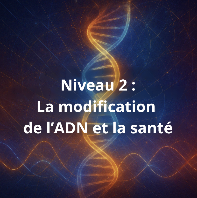 0EA97277-C545-4C8A-8B12-39B0DA23C7F8